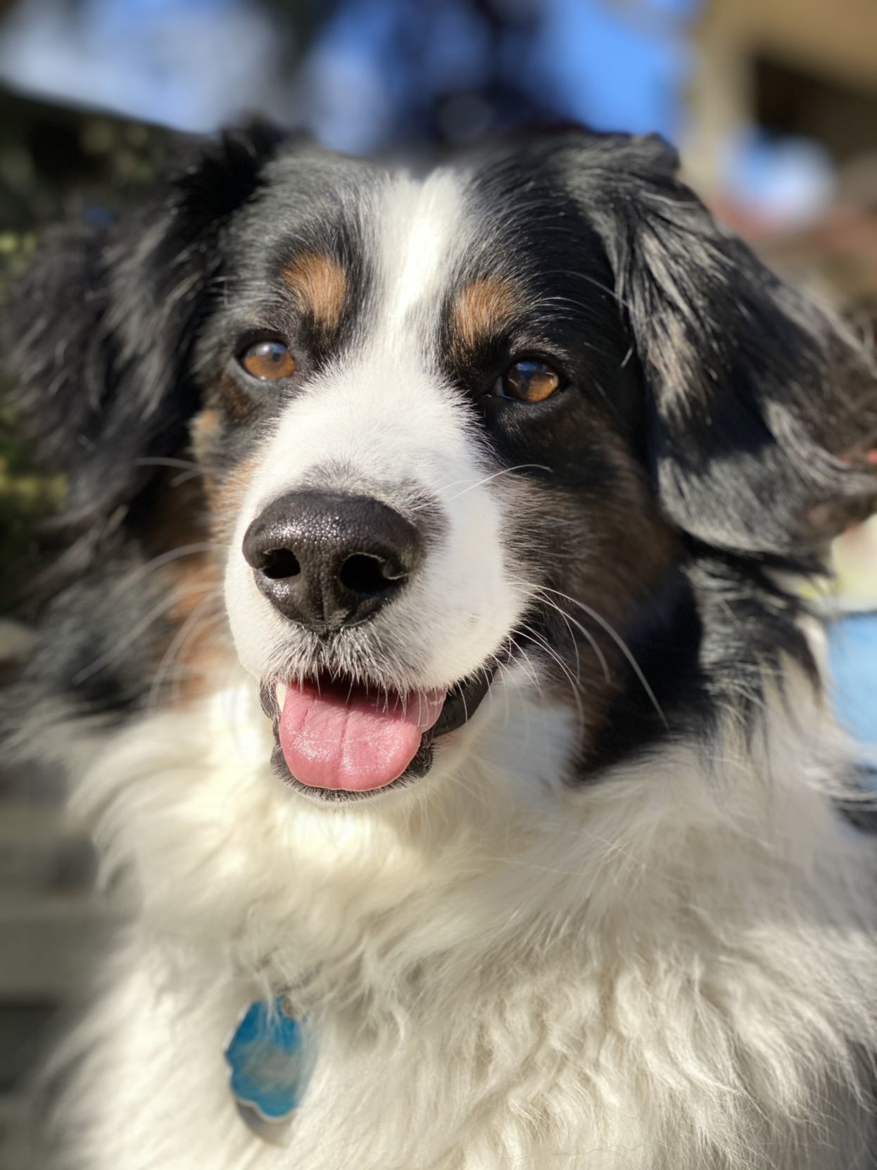 Charlie